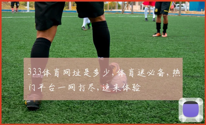 333体育网址是多少,体育迷必备,热门平台一网打尽,速来体验